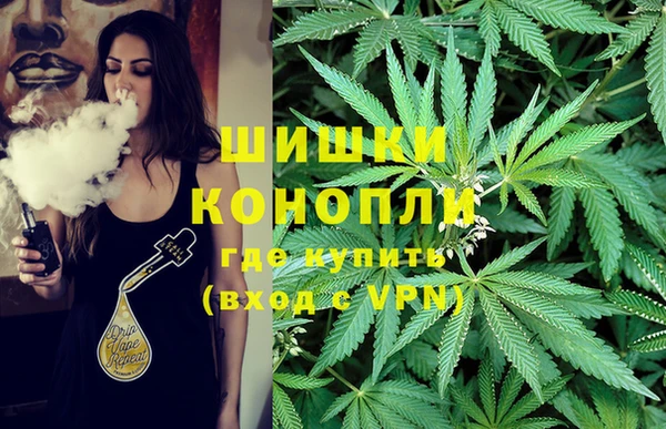 дмт Пересвет