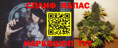 дмт Тверь