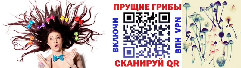 купить наркотики цена  Саки  Псилоцибиновые грибы ЛСД 