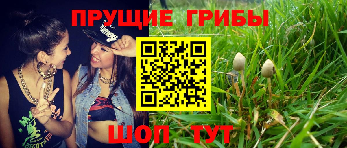 Псилоцибиновые грибы Psilocybe  Псилоцибиновые грибы мухоморы  Саки  Вход с VPN 