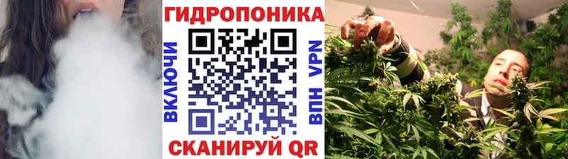 Бошки Шишки гибрид  Саки 