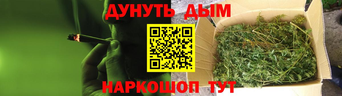 Каннабис планчик  МАРИХУАНА семена  Бошки марихуана OG Kush  Вход с VPN  Саки 